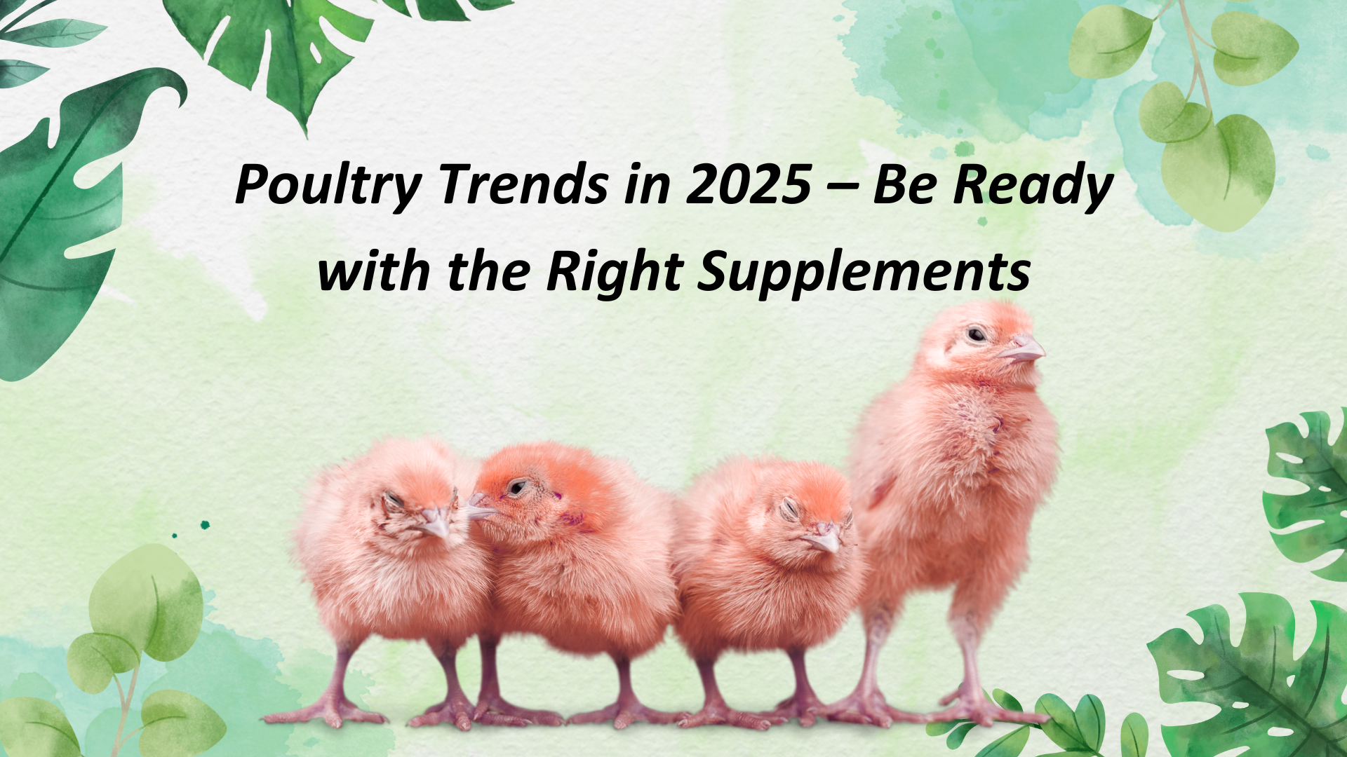 poultry trends 2025